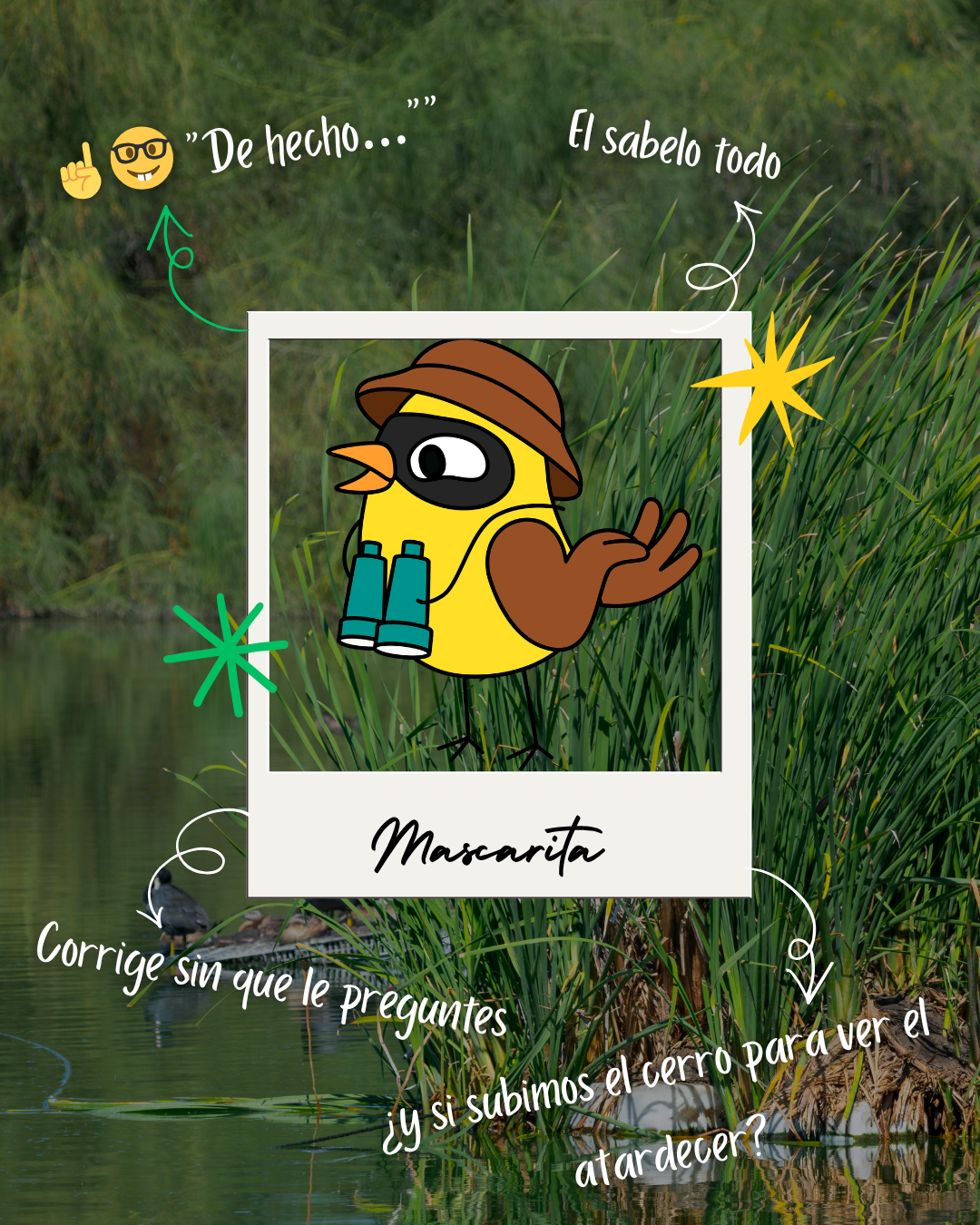 Mascarita — La palomilla del agua character