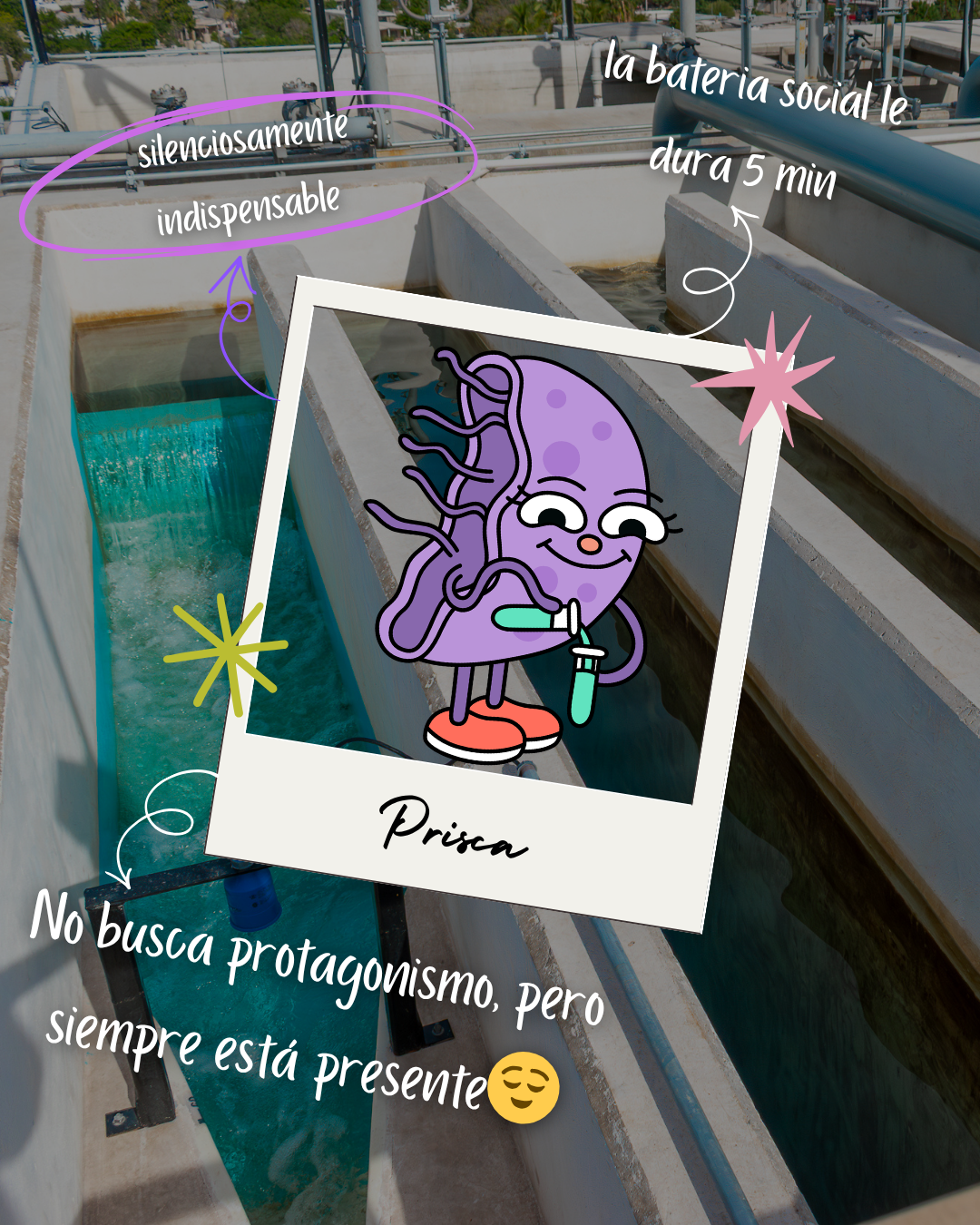 Prisca — La palomilla del agua character