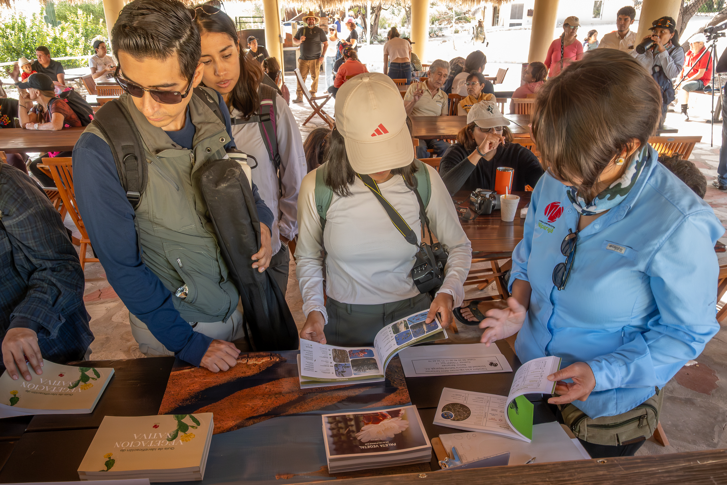 Paleta Vegetal BCS — native plant selection in the field