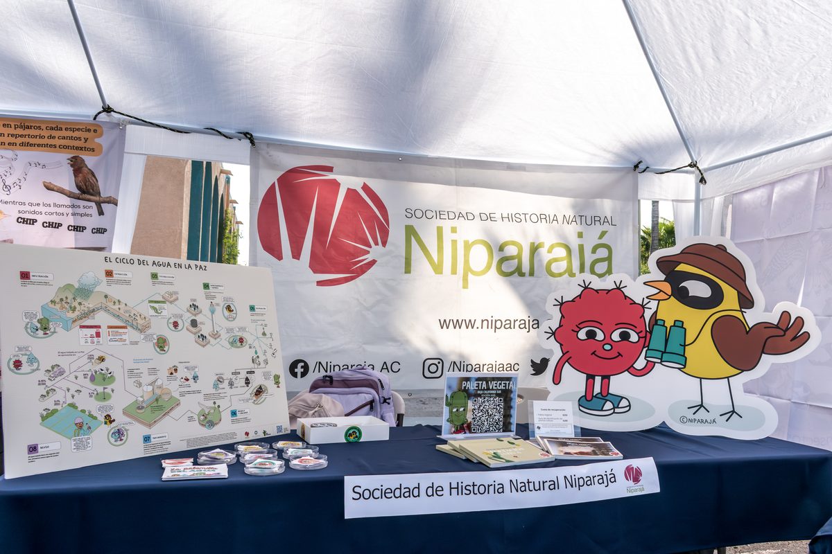 Niparajá stand with La palomilla del agua materials